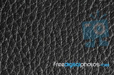 Leather Background Stock Photo