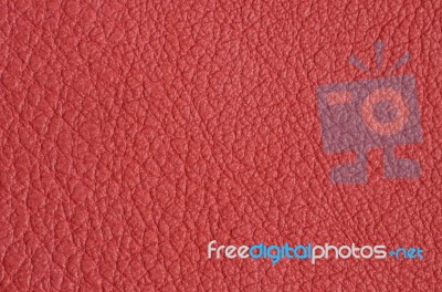 Leather Background Stock Image