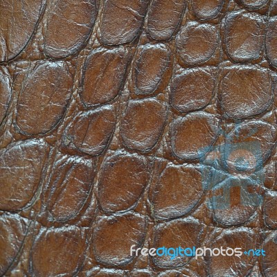 Leather With Crocodile Dressed Texture Stock Photo