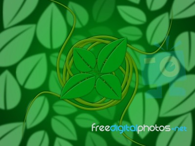 Leaves Floral Shows Bloom Florals And Environmental Stock Image