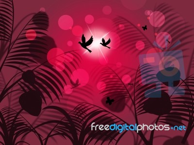 Leaves Nature Represents Birds In Flight And Abstract Stock Image