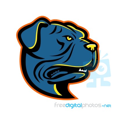 Leavitt Bulldog Head Mascot Stock Image