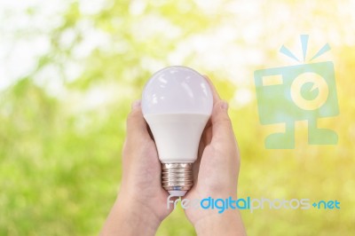 Led Lighting Bulb In Hands Stock Photo