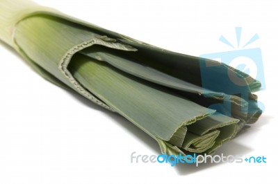 Leek Vegetable On White Stock Photo