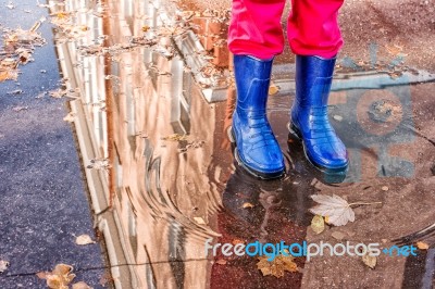 Legs Of Little Girl Standing In A Pool Of Autumn Stock Photo