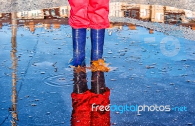 Legs Of Little Girl Standing In A Pool Of Autumn Stock Photo