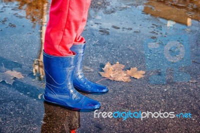 Legs Of Little Girl Standing In A Pool Of Autumn Stock Photo