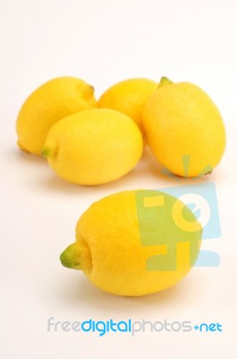 Lemon Stock Photo