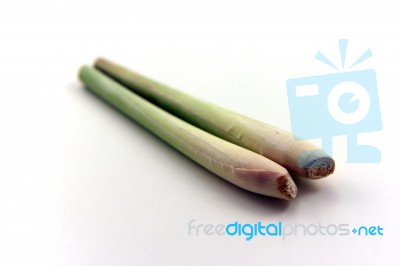 Lemon Grass Stock Photo