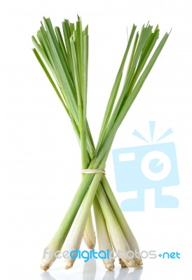 Lemon Grass Isolated On The White Background Stock Photo