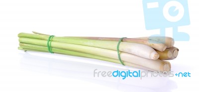 Lemongrass Isoleted On White Background Stock Photo