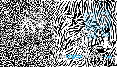 Leopard And Tiger And Pattern Background Stock Image