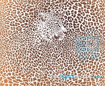 Leopard Brown Background Stock Image