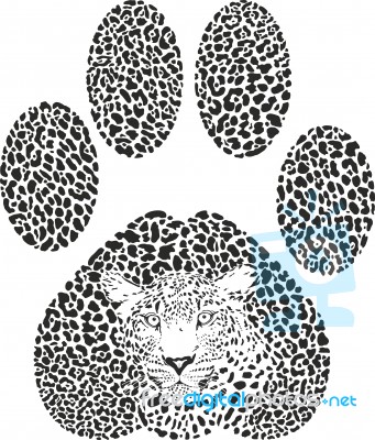 Leopard Footprint Stock Image