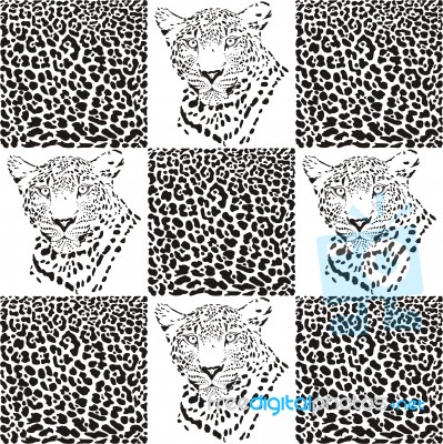 Leopard Patterns For Textiles Stock Image