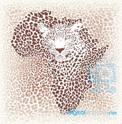 Leopard Seamless Pattern,  Illustration Background With Africa Map Stock Image