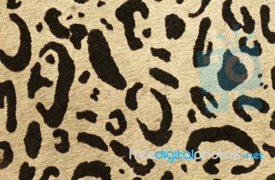 Leopard Skin Stock Photo