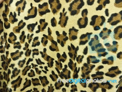 Leopard Skin Stock Photo