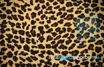 Leopard Skin Background Stock Photo