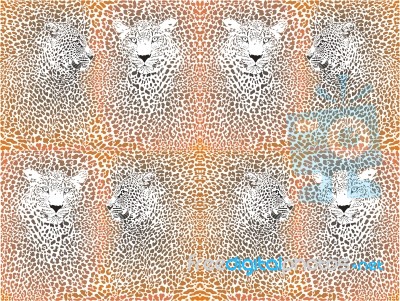 Leopard Texture Pattern With Head Stock Image