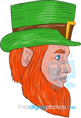 Leprechaun Head Side Drawing Stock Image