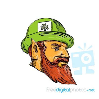 Leprechaun Head Side Drawing Stock Image