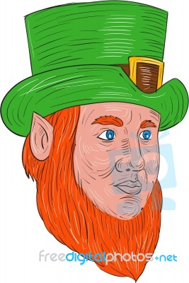 Leprechaun Head Three Quarter View Drawing Stock Image