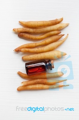 Lesser Galangal Essential Oil Stock Photo