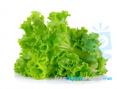 Lettuce Isolated On The White Background Stock Photo