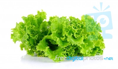 Lettuce Isolated On The White Background Stock Photo