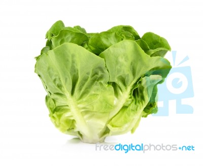 Lettuce Isolated On White Background Stock Photo