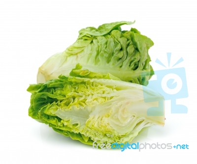 Lettuce Leaves Isolated On White Background Stock Photo