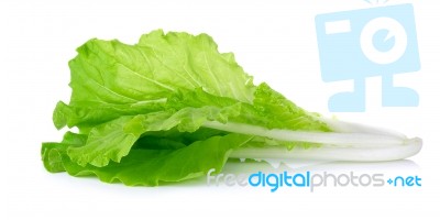 Lettuce Leaves Isolated On White Background Stock Photo