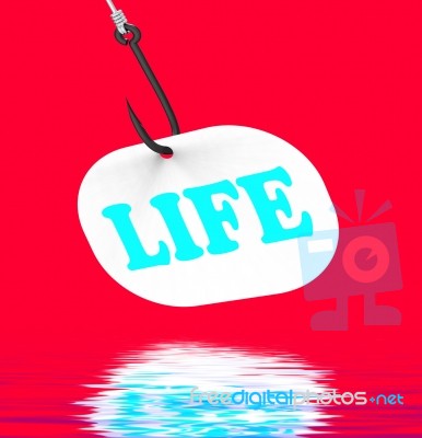 Life On Hook Displays Happy Lifestyle Or Prosperity Stock Image