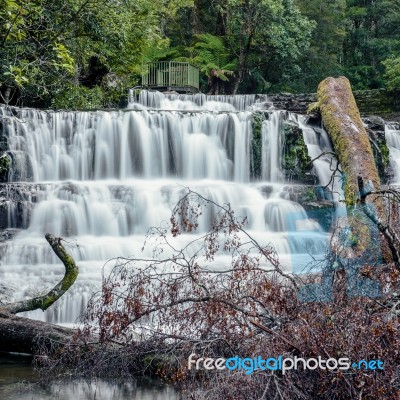 Liffey Falls In The Midlands Region, Tasmania Stock Photo