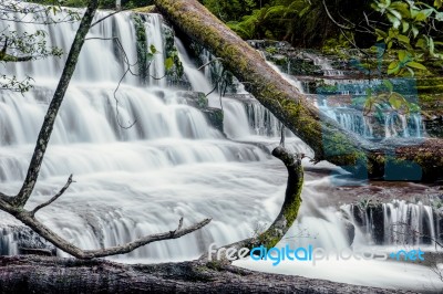 Liffey Falls In The Midlands Region, Tasmania Stock Photo