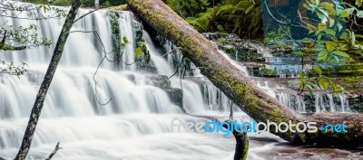 Liffey Falls In The Midlands Region, Tasmania Stock Photo