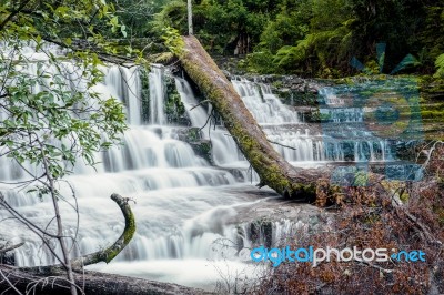 Liffey Falls In The Midlands Region, Tasmania Stock Photo