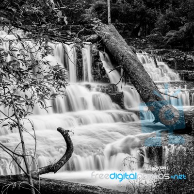 Liffey Falls In The Midlands Region, Tasmania Stock Photo