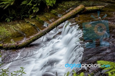 Liffey Falls In The Midlands Region, Tasmania Stock Photo