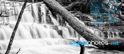 Liffey Falls In The Midlands Region, Tasmania Stock Photo