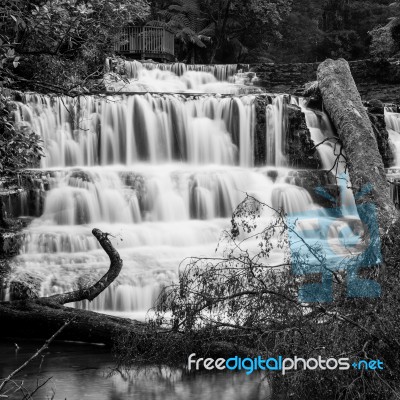 Liffey Falls In The Midlands Region, Tasmania Stock Photo