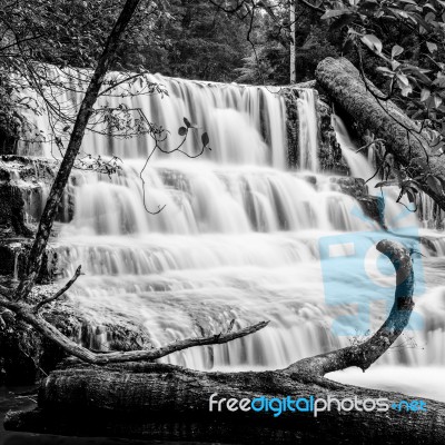 Liffey Falls In The Midlands Region, Tasmania Stock Photo