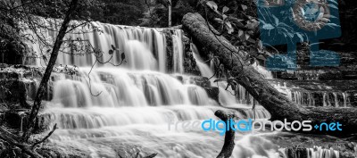 Liffey Falls In The Midlands Region, Tasmania Stock Photo