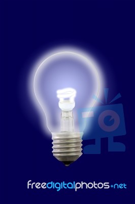 Light Bulb Stock Photo