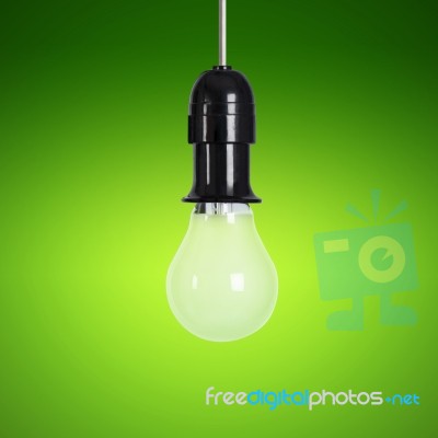 Light Bulb Stock Photo