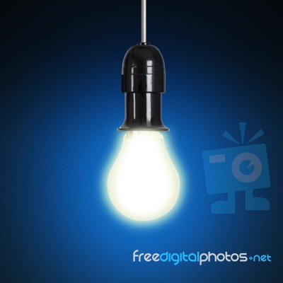 Light Bulb Stock Photo