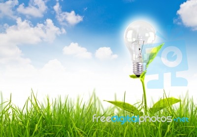 Light Bulb Grow In The Grass Stock Photo