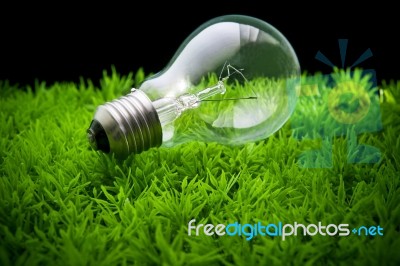 Light Bulb On Green Grass Stock Photo