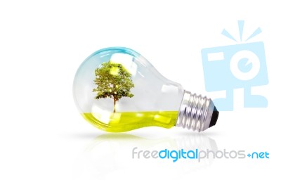 Light Bulb With Tree Inside Stock Photo